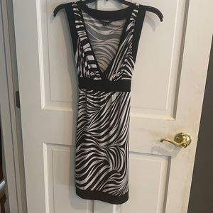 Zebra striped dress
